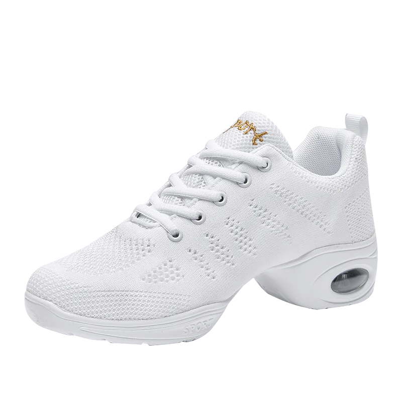 Women's Hollow Out Mesh Dance Shoes, Breathable Air Cushion Jazz Sneakers